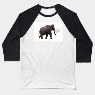 Woolly mammoth, illustration (C040/3147) Baseball T-Shirt